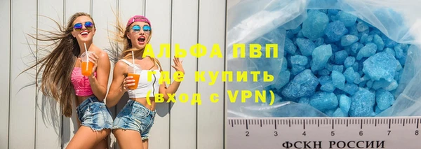 индика Белокуриха