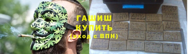 индика Белокуриха