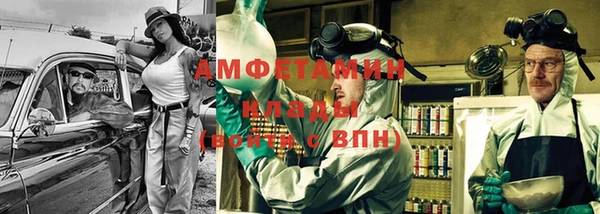 индика Белокуриха