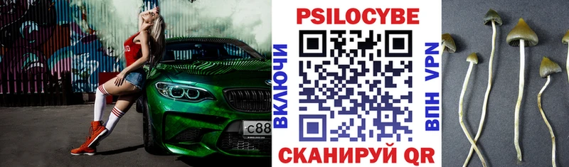 Галлюциногенные грибы Psilocybine cubensis  hydra сайт  Высоцк 